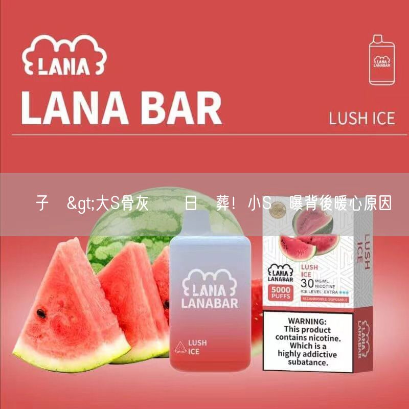 喜貝HEBAT電子煙>大S骨灰將擇